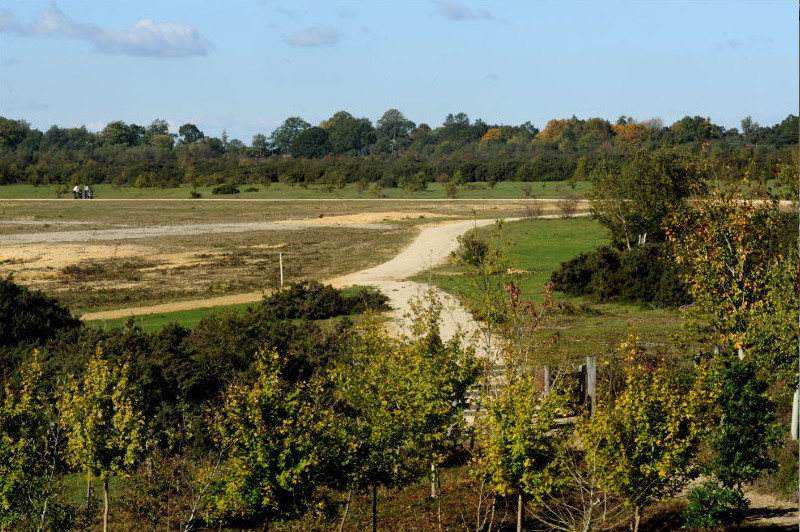 Charity fundraising with Greenham Trust - Image of Greenham Common with path running through the centre showing the environment
